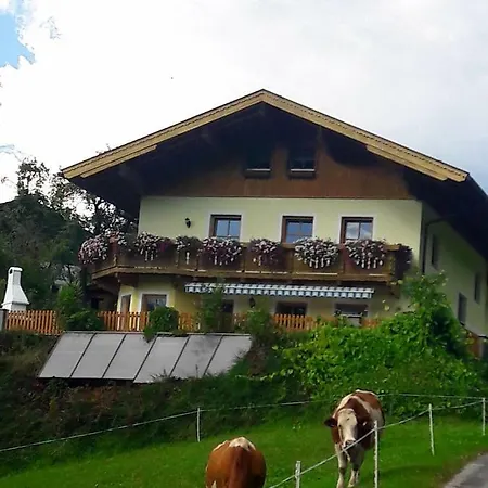 Landhaus Katharina Bischofshofen Exterior photo